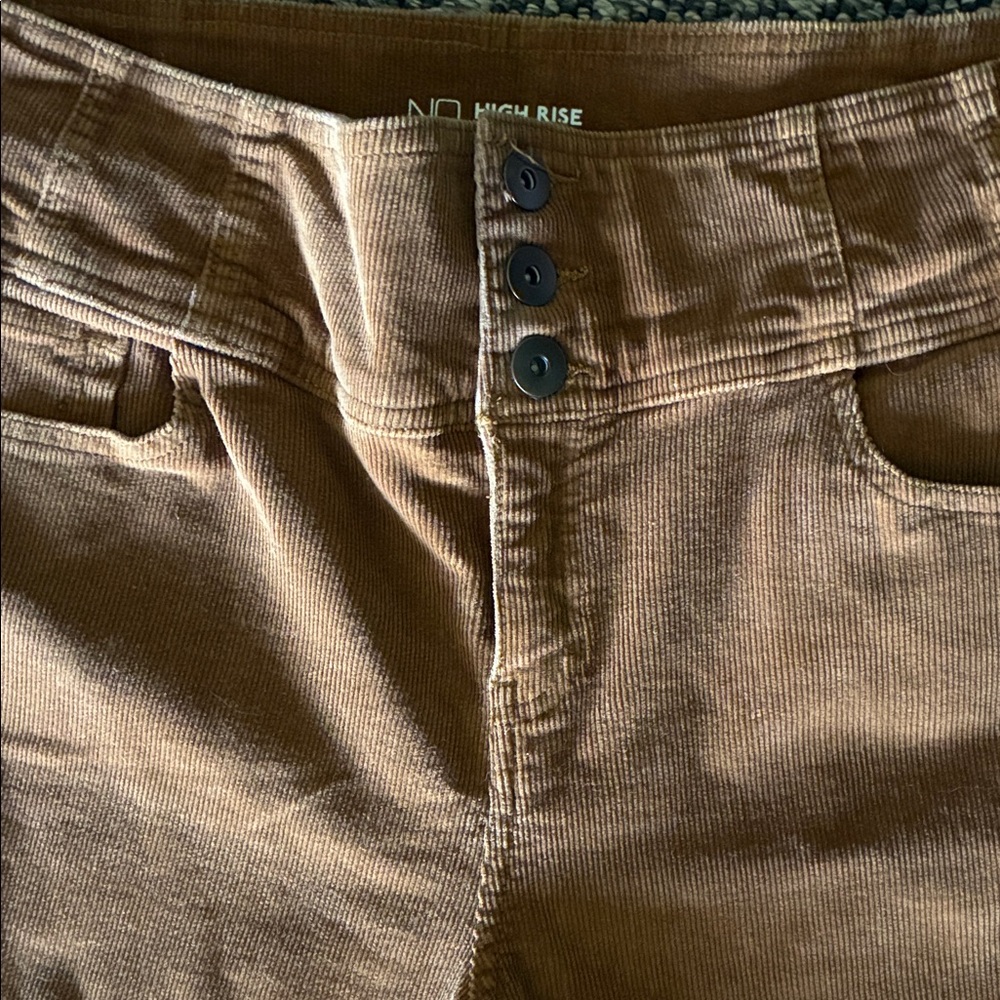 High-Rise Sculpting Skinny Corduroy Cotton Pant Beautiful Brown Size 19 Worn 1x - Picture 2 of 5